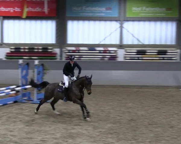 Reitturnier Luhmühlen 2023