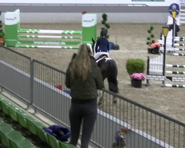 Reitturnier Luhmühlen 2023