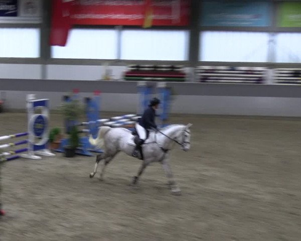 Reitturnier Luhmühlen 2023