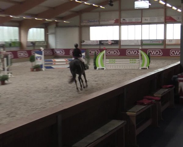 Reitturnier Goch-Asperden 2023