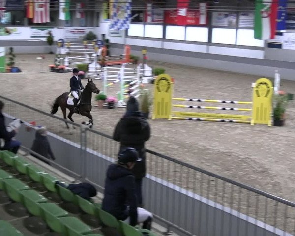 Reitturnier Luhmühlen 2023