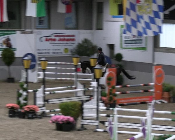 Reitturnier Luhmühlen 2023