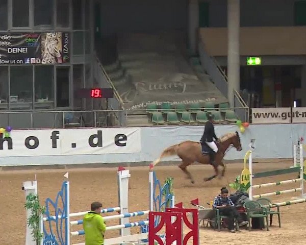 Reitturnier Kreuth 2023