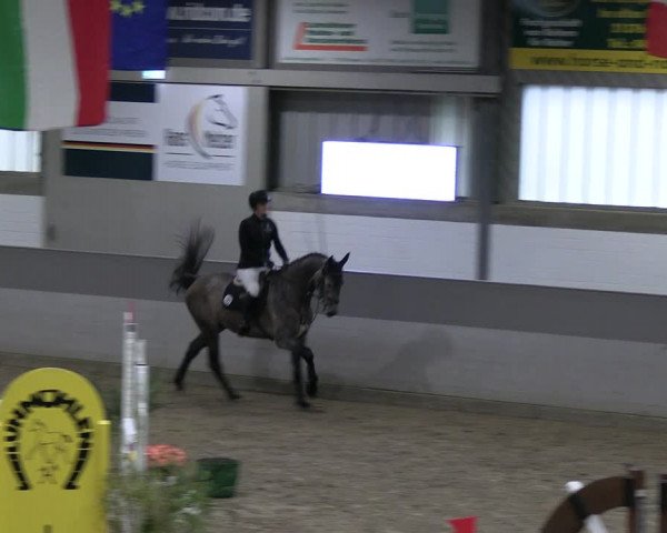 Reitturnier Luhmühlen 2023