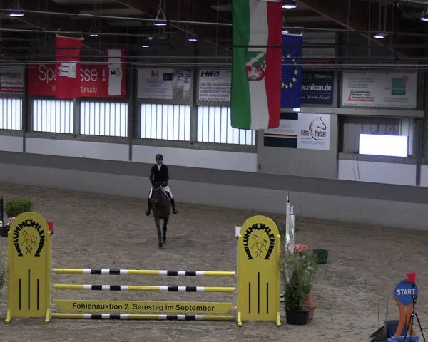 Reitturnier Luhmühlen 2023