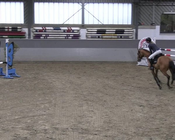 Reitturnier Luhmühlen 2023