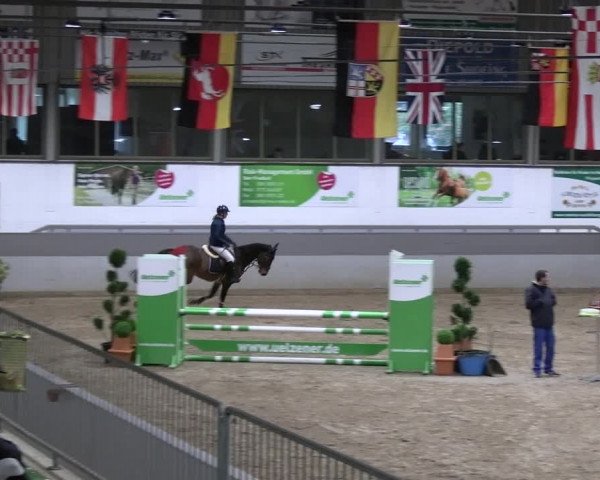 Reitturnier Luhmühlen 2023