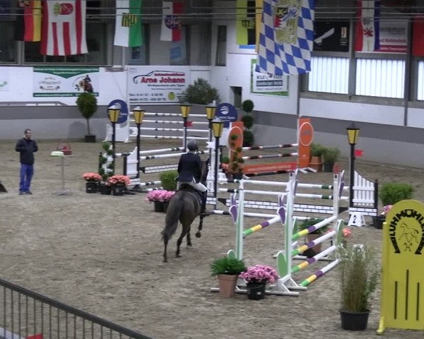 Reitturnier Luhmühlen 2023