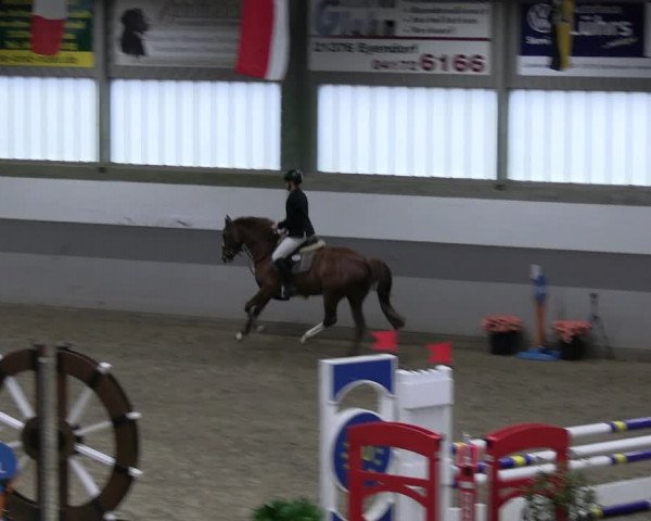 Reitturnier Luhmühlen 2023