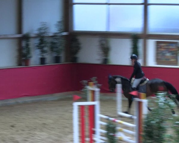 Reitturnier Klein Drehle - Reitanlage König 2023