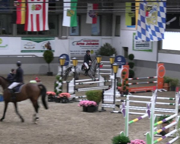 Reitturnier Luhmühlen 2023