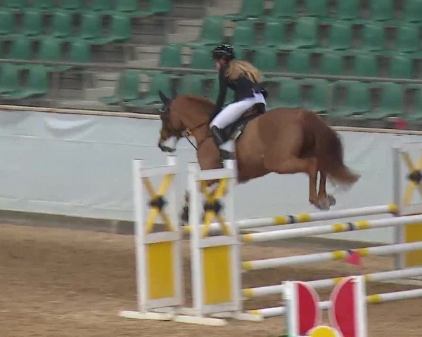 Reitturnier Kreuth 2023