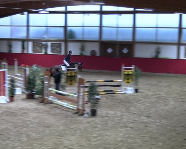 Reitturnier Klein Drehle - Reitanlage König 2023