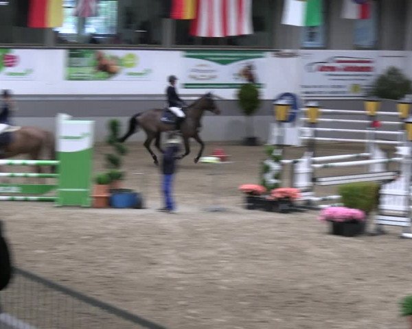 Reitturnier Luhmühlen 2023