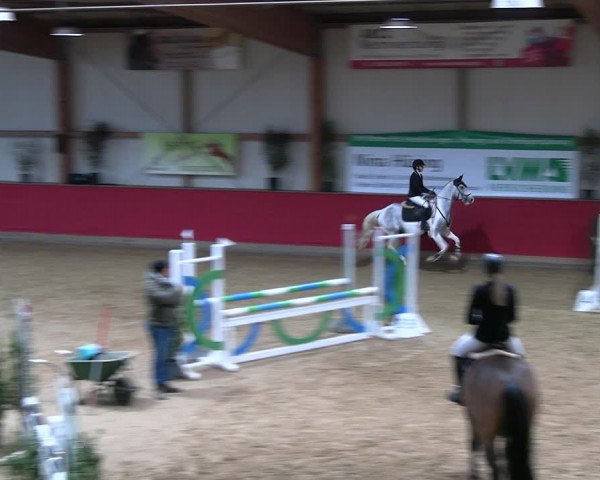 Reitturnier Klein Drehle - Reitanlage König 2023