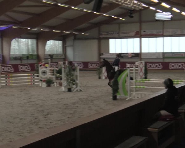 Reitturnier Goch-Asperden 2023