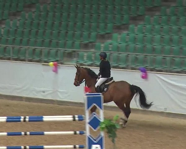 Reitturnier Kreuth 2023