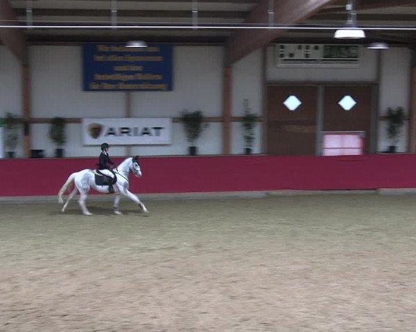 Reitturnier Klein Drehle - Reitanlage König 2023