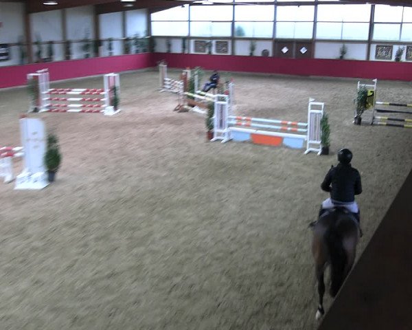 Reitturnier Klein Drehle - Reitanlage König 2023
