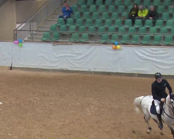 Reitturnier Kreuth 2023