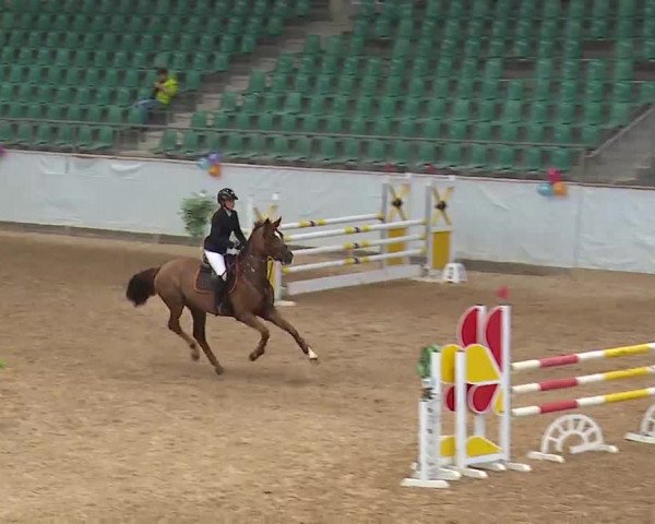 Reitturnier Kreuth 2023