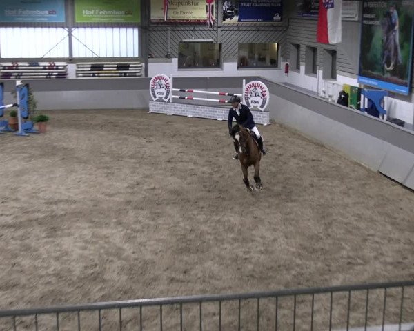 Reitturnier Luhmühlen 2023