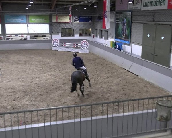Reitturnier Luhmühlen 2023
