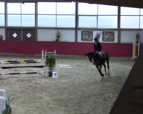 Reitturnier Klein Drehle - Reitanlage König 2023