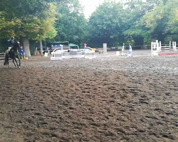 Video von Signoretta
