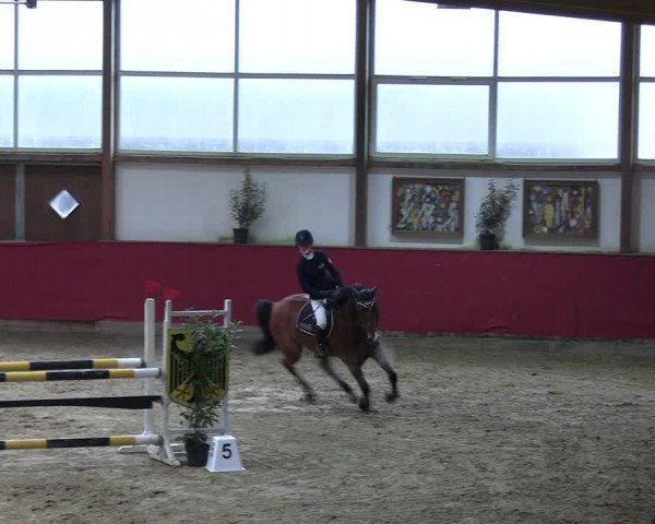 Reitturnier Klein Drehle - Reitanlage König 2023