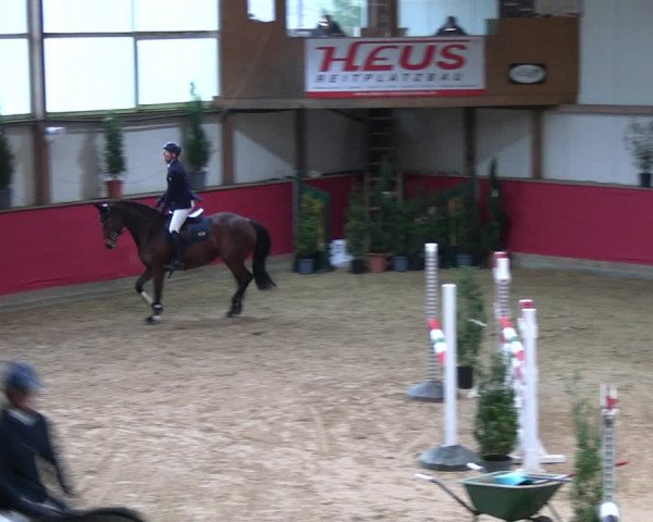 Reitturnier Klein Drehle - Reitanlage König 2023