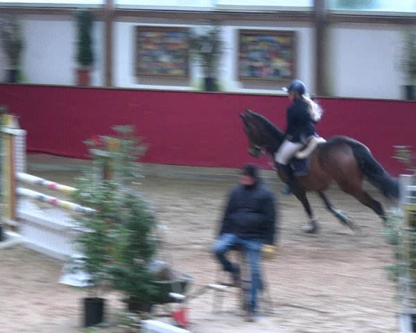 Reitturnier Klein Drehle - Reitanlage König 2023