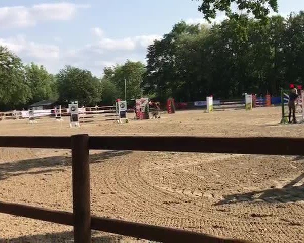 Video von Signoretta