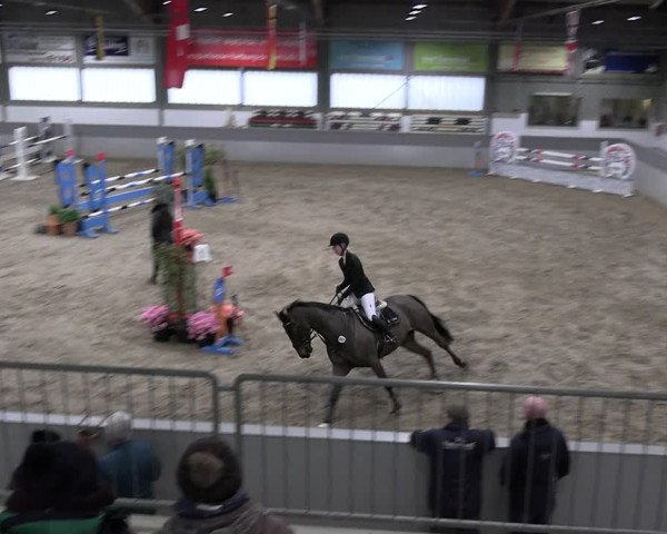 Reitturnier Luhmühlen 2023