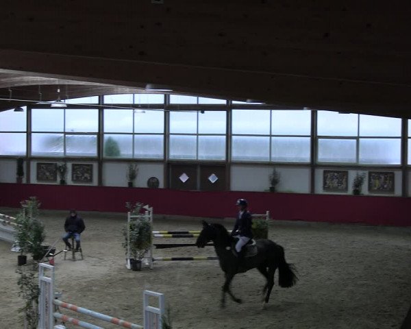 Reitturnier Klein Drehle - Reitanlage König 2023