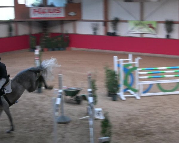 Reitturnier Klein Drehle - Reitanlage König 2023