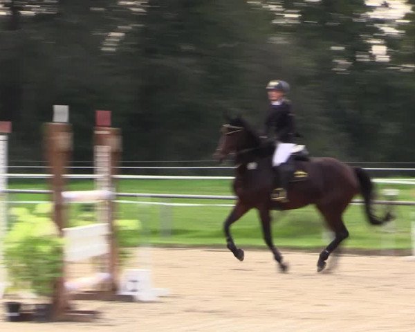 Reitturnier Haltern am See 2021