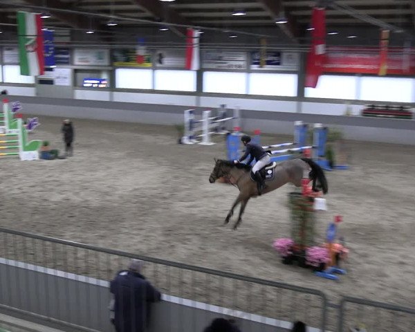 Reitturnier Luhmühlen 2023