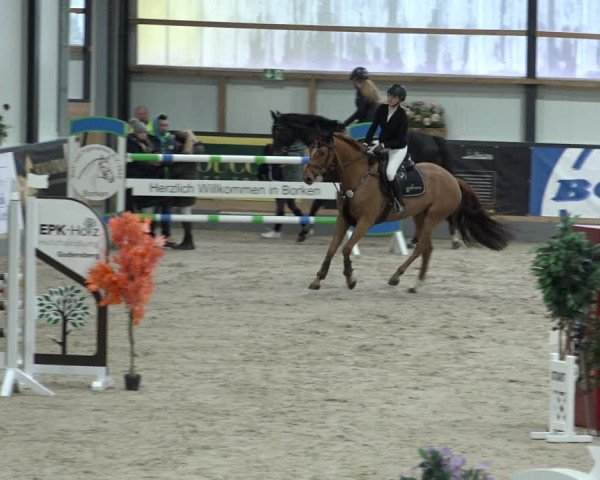 Reitturnier Borken 2023