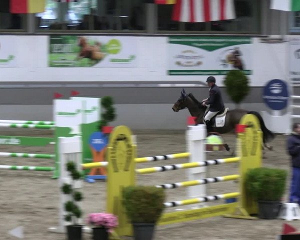 Reitturnier Luhmühlen 2023
