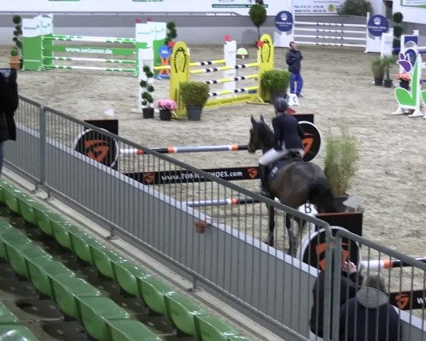 Reitturnier Luhmühlen 2023