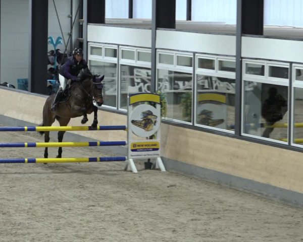 Reitturnier Borken 2023