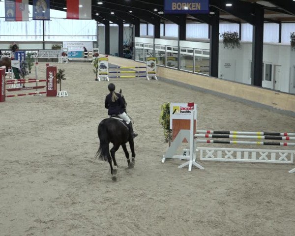 Reitturnier Borken 2023