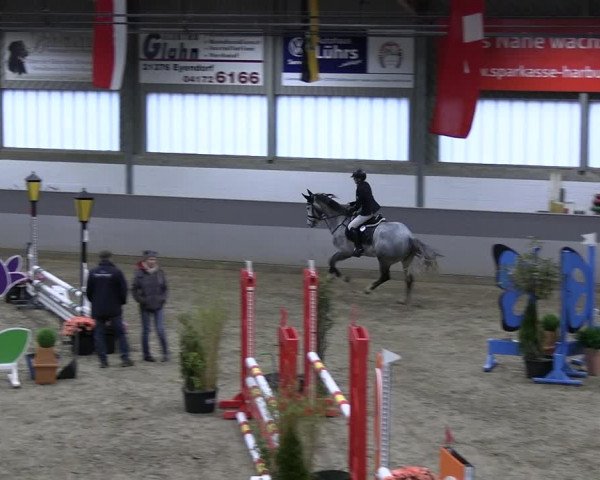 Reitturnier Luhmühlen 2023