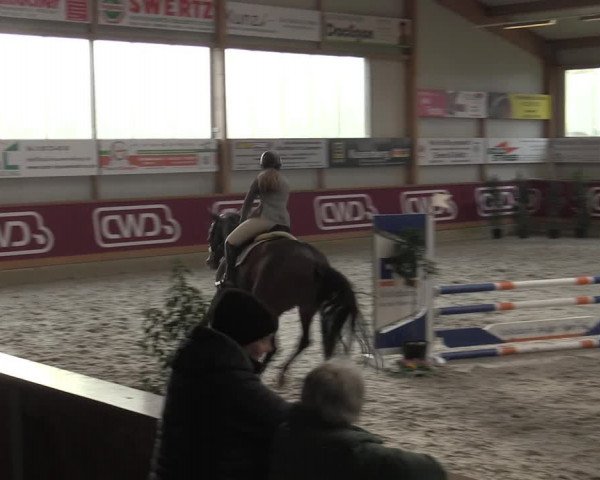Reitturnier Goch-Asperden 2023