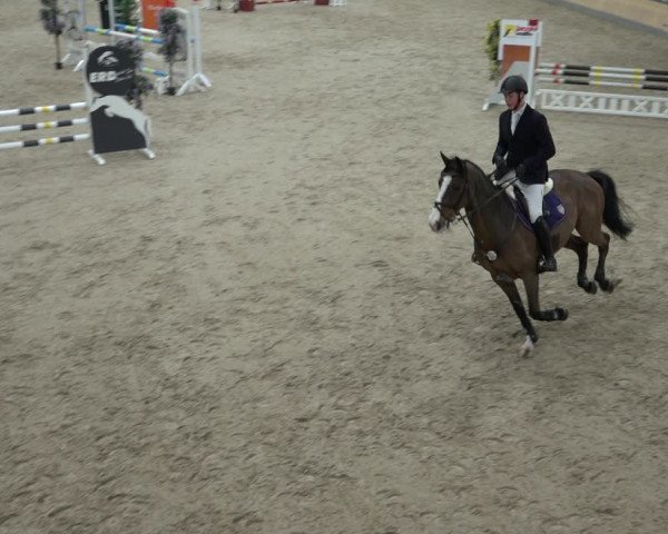 Reitturnier Borken 2023