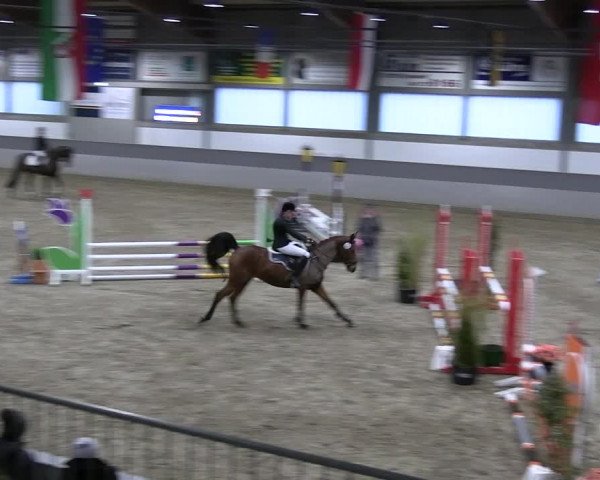 Reitturnier Luhmühlen 2023