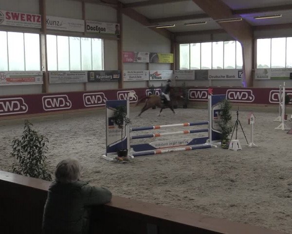 Reitturnier Goch-Asperden 2023