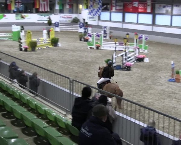 Reitturnier Luhmühlen 2023