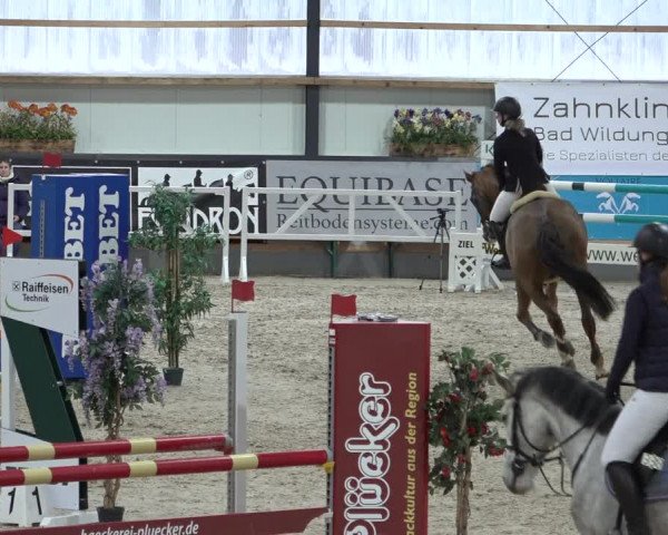 Reitturnier Borken 2023